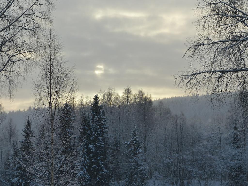 Björkebo Camping Stollet Bagian luar foto