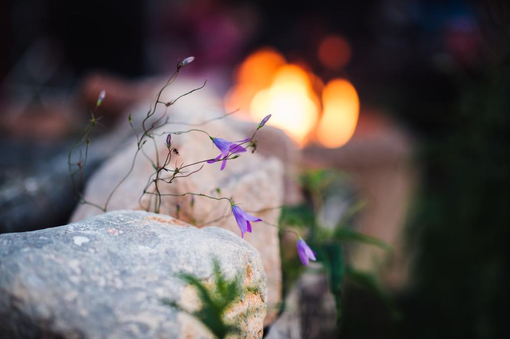 Björkebo Camping Stollet Bagian luar foto