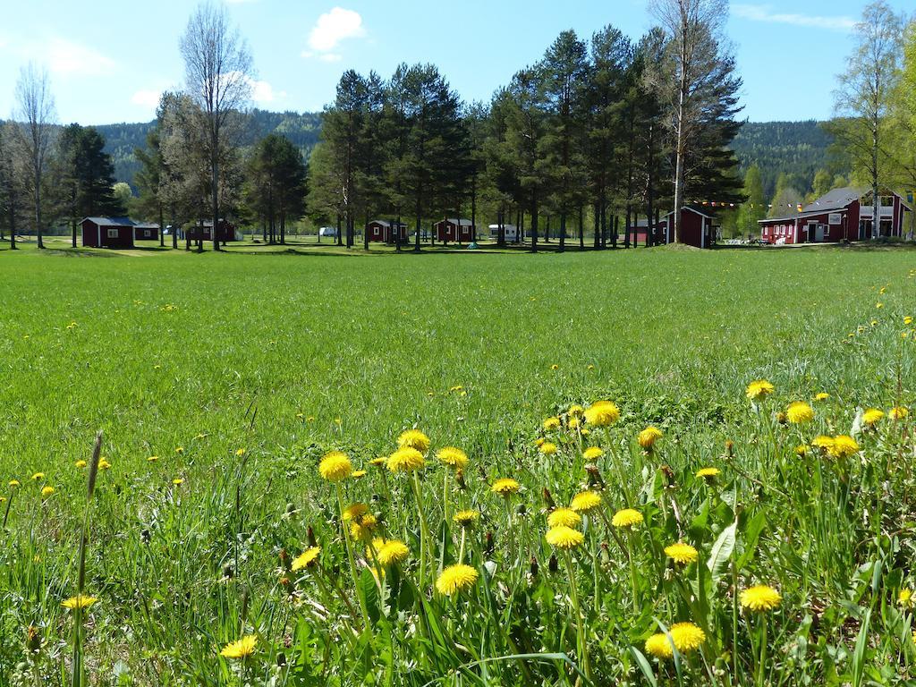 Björkebo Camping Stollet Bagian luar foto